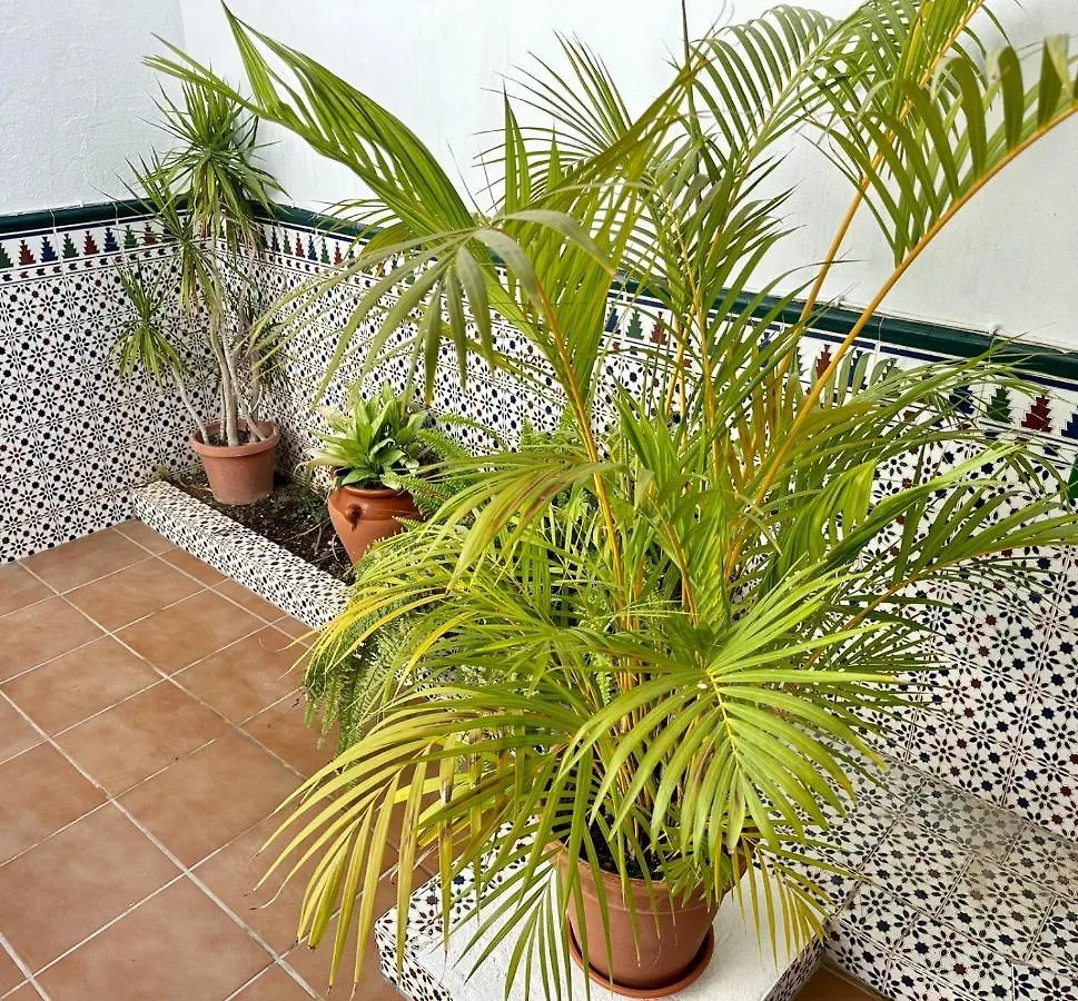 Vila Fuengirola Casa Centro Mar Y Sol 0*,  Španělsko